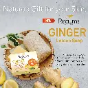 ginger soap visual 2.webp